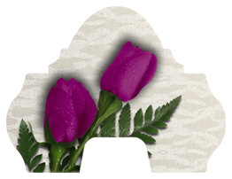 DARAY-L-053 2 Roses Orchid